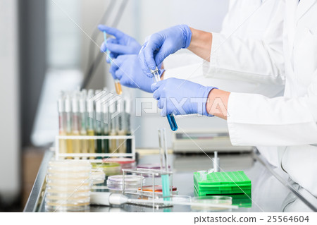Researchers preparing samples for experiments  25564604