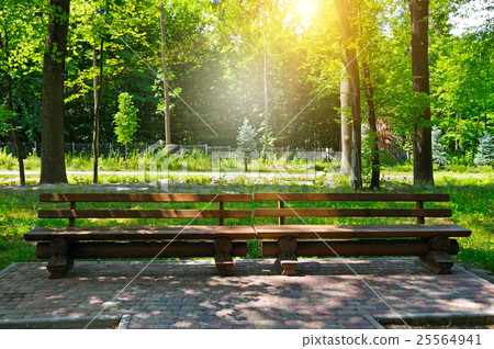 summer park, wooden benches and sunrise summer park, wooden benches and sunrise 25564941