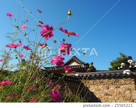 Andong Ha Village of Korea World Heritage Andong Ha Village of Korea World Heritage 25565221