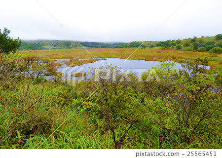 Hachijigahara Marsh 25565451