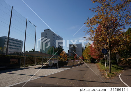 Shiraishi自行車道（Hokusei Gakuen大學附近的Hidarumadori路）的風景 25566154