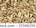 Boiled peanuts texture close up background 25566256