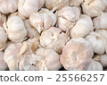 close up of garlic on market stand 25566257