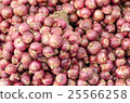 Close up shallots. 25566258