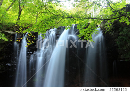 乙女瀑布 25568133