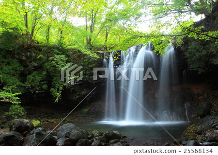 乙女瀑布 25568134