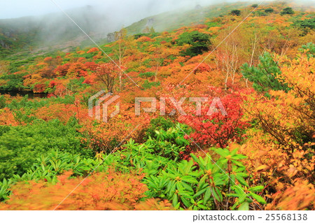 有霧的葫蘆池傳單（Nasu-dake） 25568138