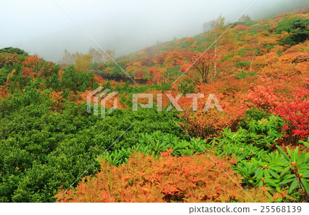 有霧的葫蘆池傳單(Nasu-dake) 有霧的葫蘆池傳單(Nasu-dake) 25568139