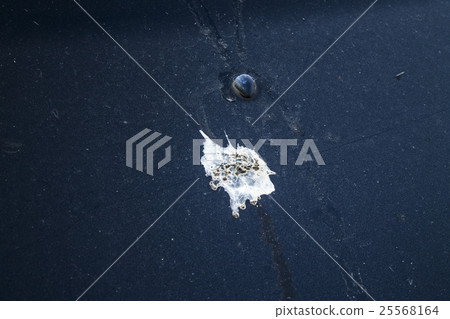 turd emblazoned on the black car 25568164