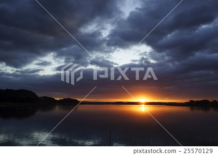 A beautiful goose-go of the magan that flies with northern rich Izu-numa along with dawn and the light of the morning sun reflects on the surface of the water Dramatic scenery 25570129