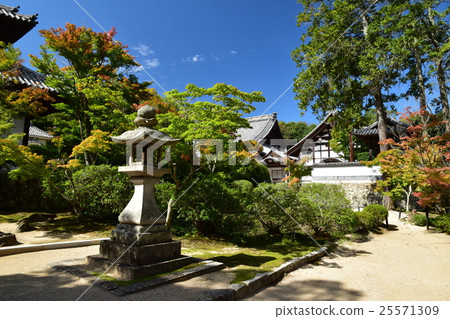 Izan Bokufukuji (autumn leaves) Izan Bokufukuji (autumn leaves) 25571309