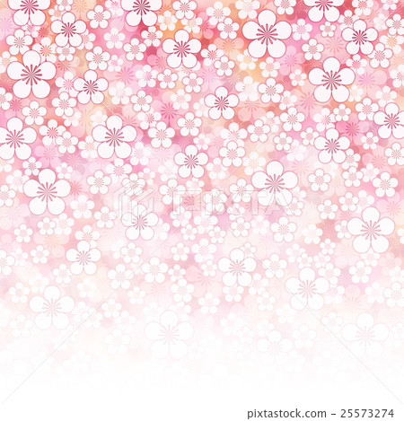Plum blossom background Plum blossom background 25573274