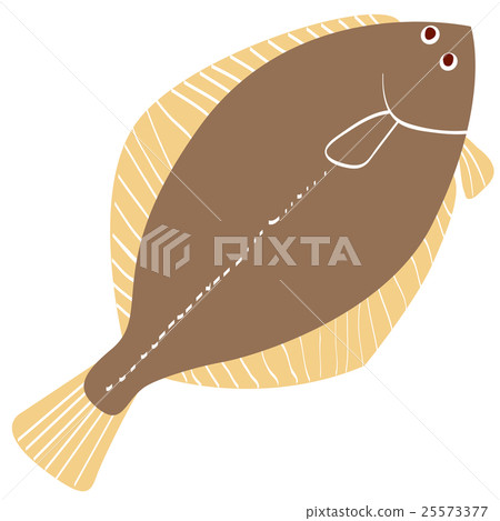 比目魚 25573377