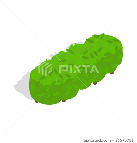Lot of trees icon, isometric 3d style Lot of trees icon, isometric 3d style 25573791