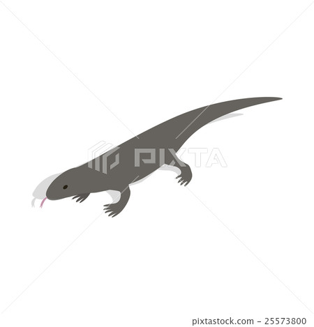 Lizard icon in isometric 3d style Lizard icon in isometric 3d style 25573800
