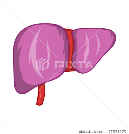 Liver icon, cartoon style Liver icon, cartoon style 25573975