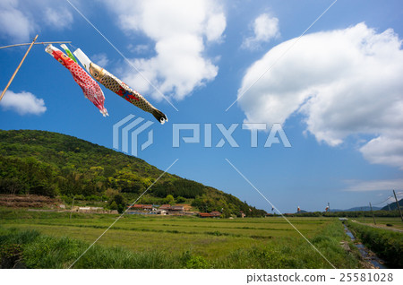 Carp streamer Carp streamer 25581028