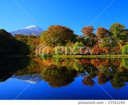 Akita Prefecture Konjinuma of autumn leaves 25582260