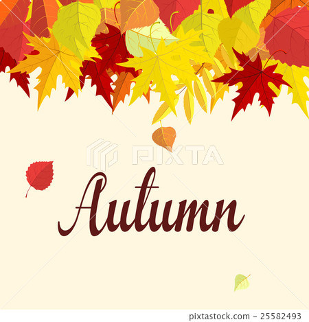 Autumn background.  25582493