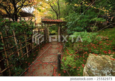 The autumn leaves of Tensenan The autumn leaves of Tensenan 25582973