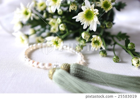 Jyuzu和白菊花 Jyuzu和白菊花 25583019