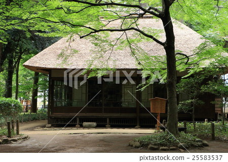 茅草屋頂 茅草屋頂 25583537