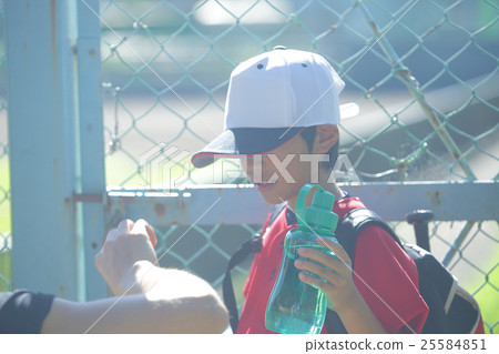 Baseball boy 25584851