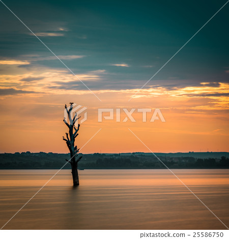 Gold sunrise and lake 25586750