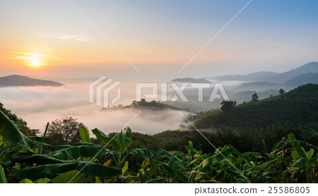 Sunrise with sea of fog above Mekong river  25586805