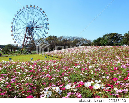 東武動物公園摩天輪和宇宙領域 東武動物公園摩天輪和宇宙領域 25588430