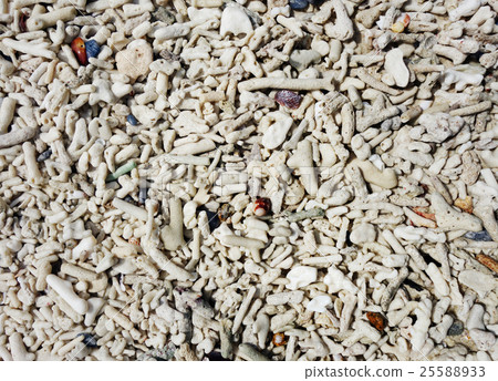 coral fragments background wallpaper coral fragments background wallpaper 25588933