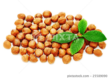 Heap of fresh shelled hazelnuts with green leaves isolated on wh Heap of fresh shelled hazelnuts with green leaves isolated on wh 25589090