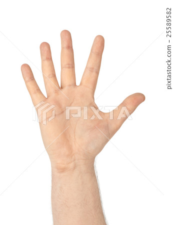 Counting hand - five Counting hand - five 25589582