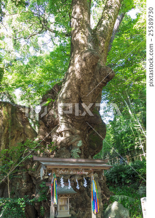 奧古蘇自然紀念碑 25589730