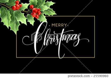 Christmas decoration on chalk board. Vector 25590960