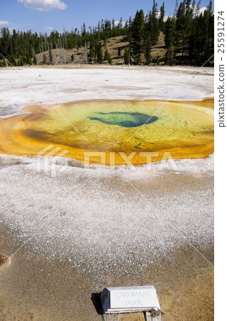93911 Yellowstone National Park 25591274