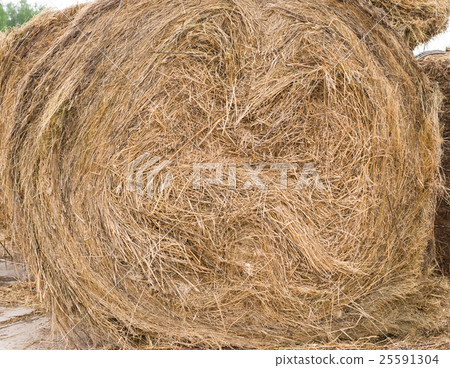 Stack of hay Stack of hay 25591304