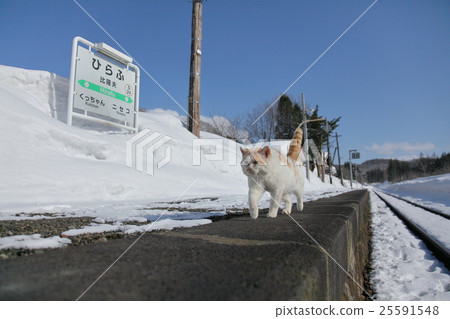 冬天貓catide駐地經理Shimattaro 25591548