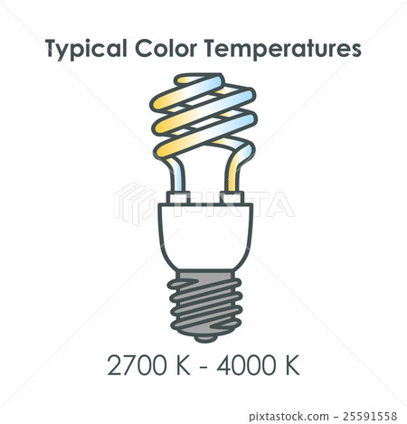 Energy saving light bulb. Vector. 25591558