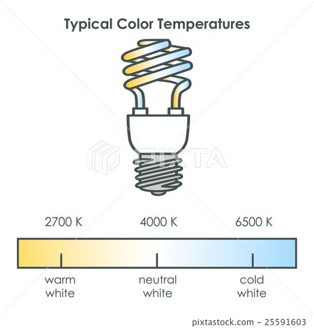 Energy saving light bulb. Vector. Energy saving light bulb. Vector. 25591603