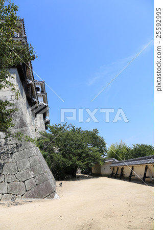 仲夏的松山城 仲夏的松山城 25592995