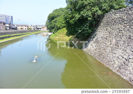 Kasumi公園的護城河 Kasumi公園的護城河 25593897