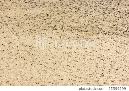 Human footprints on the sand of the sea bottom Human footprints on the sand of the sea bottom 25594299