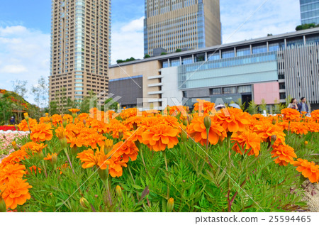 大阪梅田的風景 25594465
