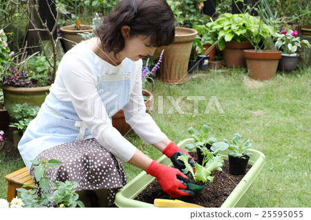 播種花園 25595055