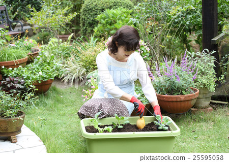 Planter Garden 25595058