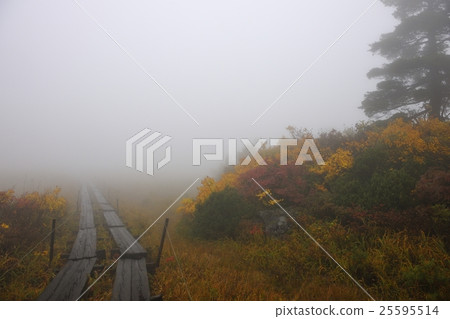 Kurikoma山（Sukawa山）·Nagamigahara（岩手縣）的秋葉 25595514