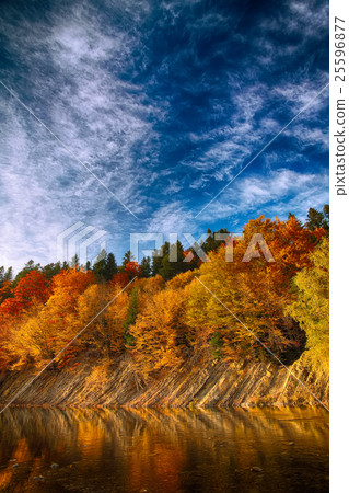 autumn forest by the river 25596877