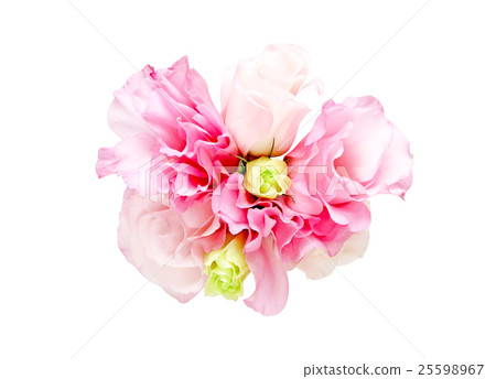 土耳其粉末 土耳其粉末 25598967