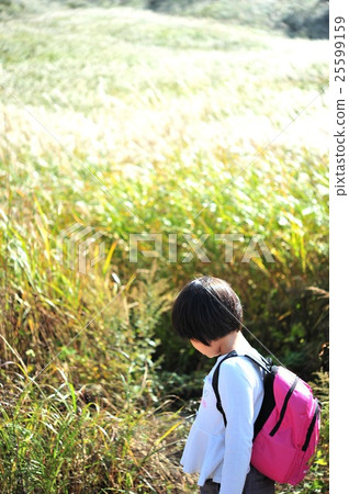 鈴木 鈴木 25599159